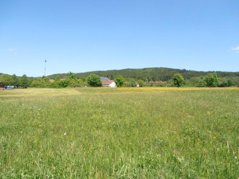 Hotel Gaisthaler Hof Schönsee Kültér fotó