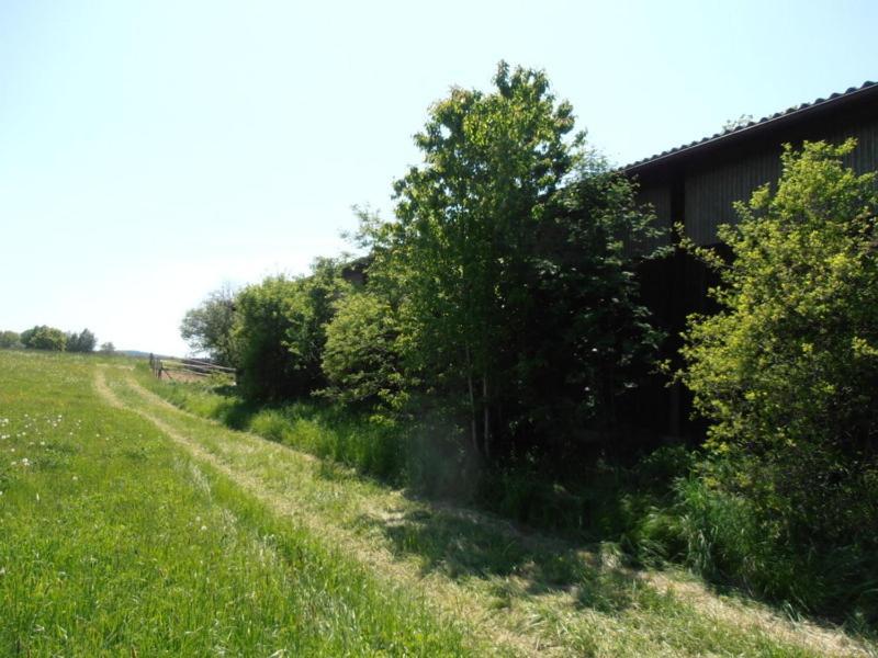Hotel Gaisthaler Hof Schönsee Kültér fotó